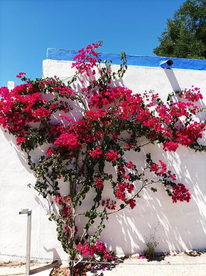 Bed and Breakfast Casa Kilmar Vejer de la Frontera Exterior foto