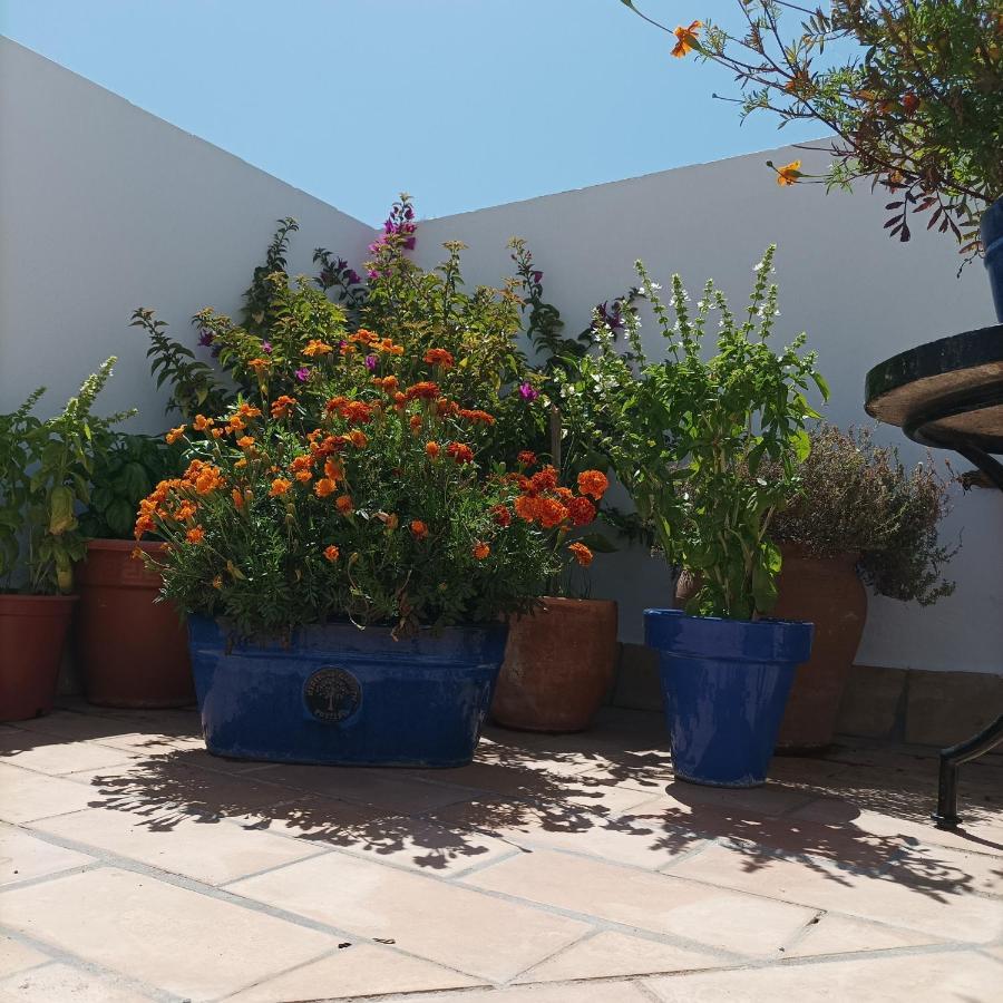 Bed and Breakfast Casa Kilmar Vejer de la Frontera Exterior foto